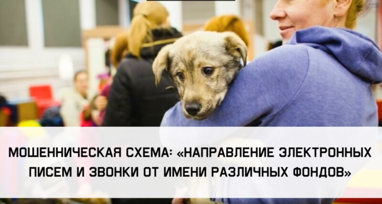 Профилактика и предупреждения преступлений, совершаемых с использованием информационных технологий.